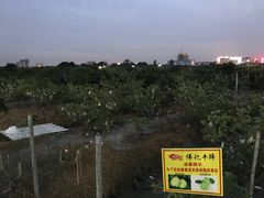 -伟记牛蹄(道滘店)