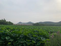 -云龙湖旅游景区