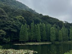 -广州市石门国家森林公园