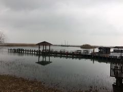 -太湖湖滨国家湿地公园-停车场