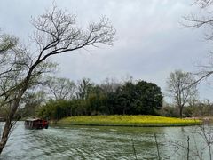 -西溪国家湿地公园