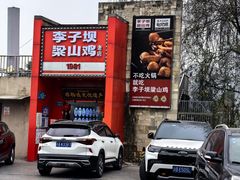 -李子坝梁山鸡(李子坝大鸡哥店)