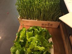 活体豆苗-左庭右院鲜牛肉火锅(浦江欢乐颂店)