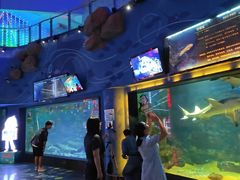 -烟台海昌鲸鲨海洋公园