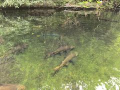 -洋湖国家湿地公园