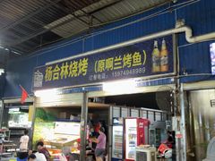 -杨合林啊兰烤鱼