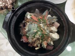 -金龙寨(龙城路店)