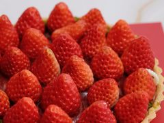 -Pantry's Best派悦坊蛋糕(K11购物艺术中心店)