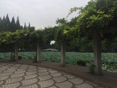 -西南交通大学(九里校区)