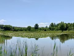 -野鸭湖国家湿地公园