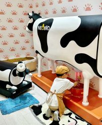 -奈尔宝·儿童乐园·亲子餐厅(苏州大悦城店)