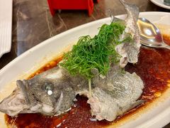 瓜子斑-外沙疍家棚酒楼