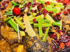 -老板恋上鱼(恒隆广场店)