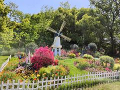 -上海共青森林公园