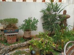 -茶米人台湾料理·精致快简餐