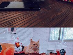-有猫主题·治愈系猫咖(曾厝垵店)