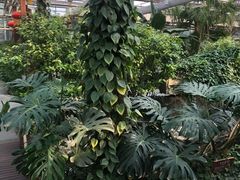 -南宫温泉水世界