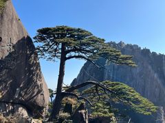 -黄山风景区