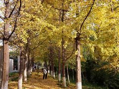 -西安汉城湖景区