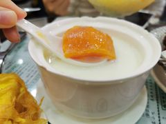 鲜奶木瓜炖海底椰-仁信老铺(华盖路店)