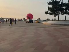 -烟台海昌鲸鲨海洋公园