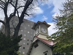 -大通公园
