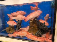 -第六季自助餐厅(北太平庄店)