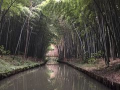 -同里国家湿地公园