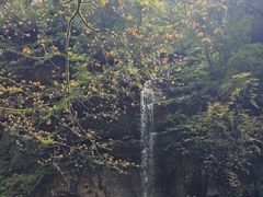 -碧峰峡风景区
