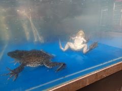 -盒马鲜生(枣园路店)
