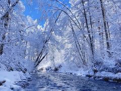 -长白山万达锦华套房酒店