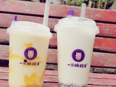 -一只酸奶牛(八一路店)