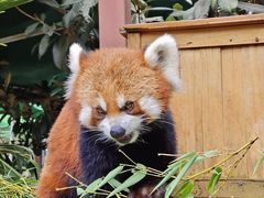 -云南野生动物园