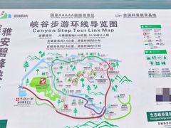 -碧峰峡风景区