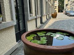 -徐家汇源景区-衡山坊