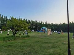 -黄海国家森林公园