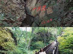 -天女山森林公园