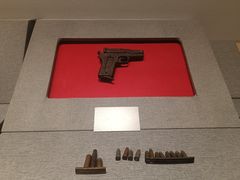 -叶挺将军纪念园