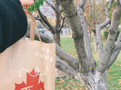-Tims天好咖啡·贝果(东方广场店)