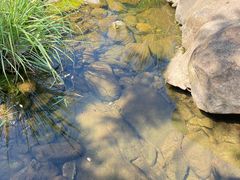 -武汉姚家山旅游景区
