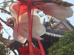 -长春观