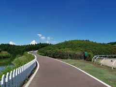 -迪茵湖田家舍生态农场