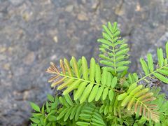 -东天目山风景区