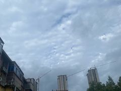 -山里人家花椒鸡(钢城店)