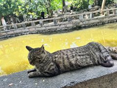 -西园戒幢律寺