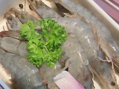 -阿古蒙·传统涮火锅自助(三台子万象汇店)