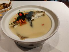 东坡河豚-肆月河豚·新淮扬(金融街店)