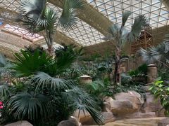 -杭州开元森泊度假乐园