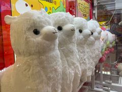 -LLJ夹机占(清河万象汇店)