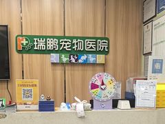 -瑞鹏宠物医院·夜间急症·心超·猫科(祖庙分店)